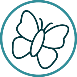 Biodiversity